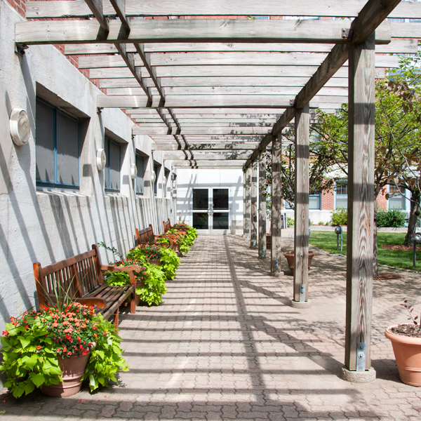 An outdoor pathway with pergola and benches